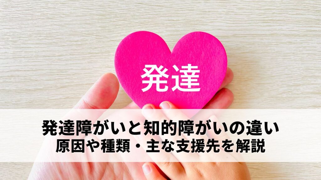 自閉症などの発達障がいと知的障がいの違いは？原因や種類・主な支援先を解説